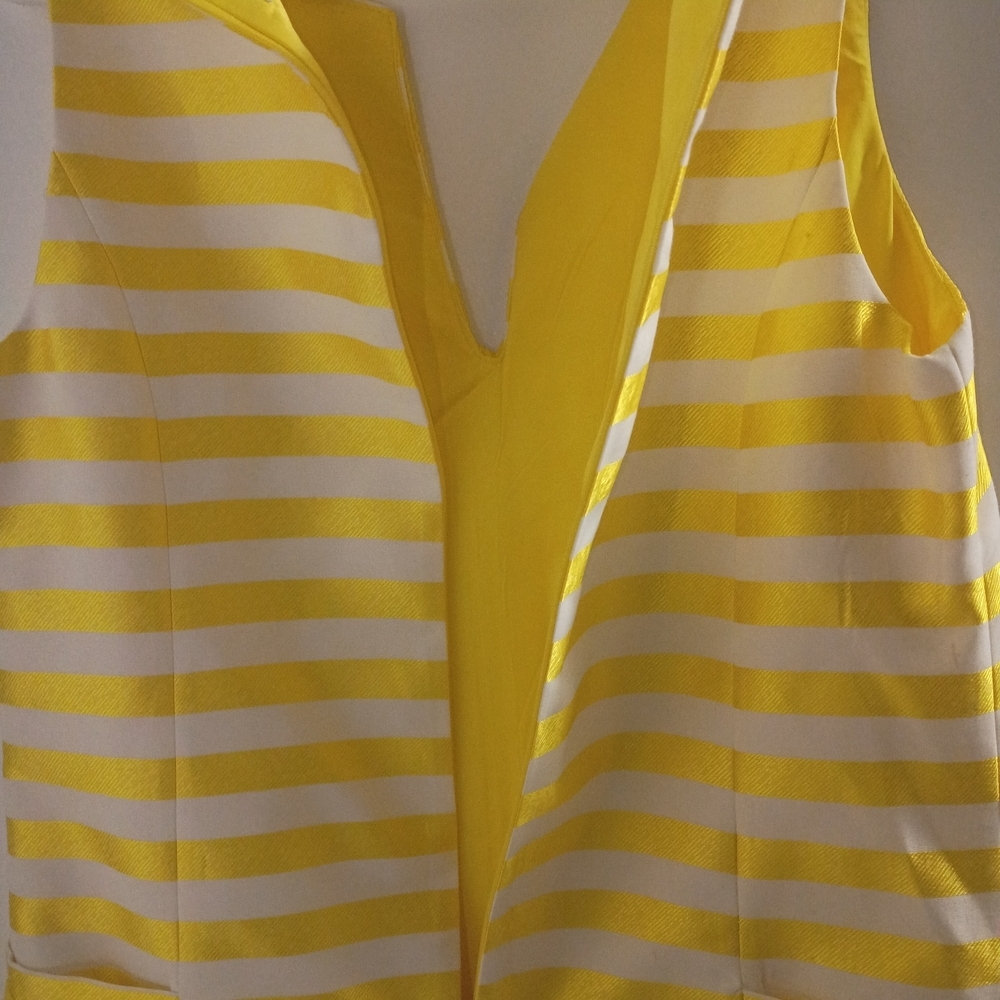 Badgley Mischka Yellow and White Striped Sleeveless Shift Dress - Picture 6 of 11